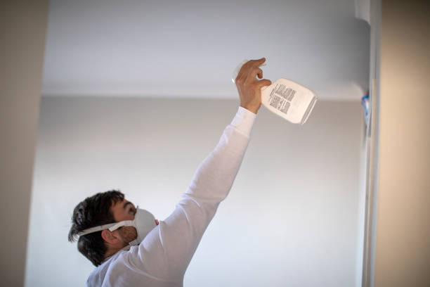 Reliable Lake Camelot, IL Mold Remediation Solutions
