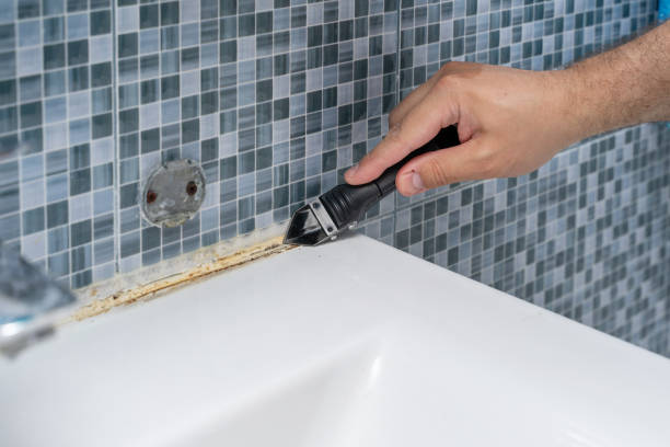 Best Residential Mold Remediation in Lake Camelot, IL