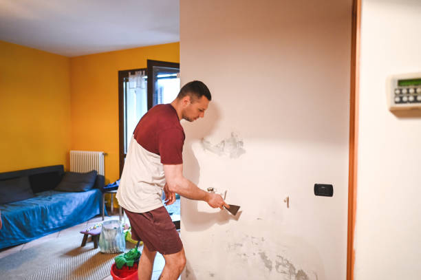 Best Kitchen Mold Remediation in Lake Camelot, IL